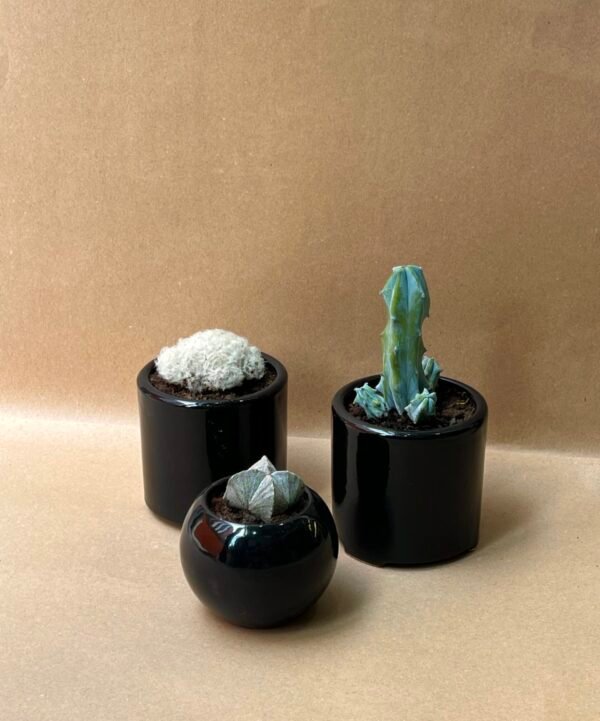 Trio " Silence Nocture "