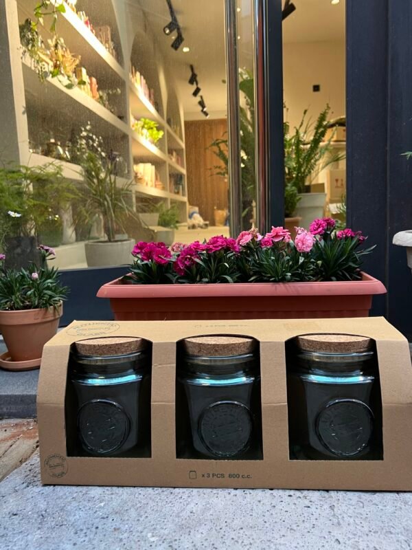 Bocal authentic pack*3 800 ml Transparent – Image 4