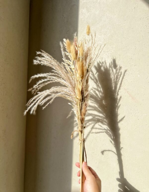 Fleurs naturelles HOLY beige