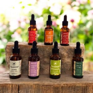 Évasion Aromatique – Pack Découverte 7 Huiles Solubles  | 30ML