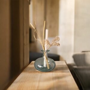 Vase Nature Transparent