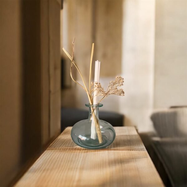 Vase Nature Transparent