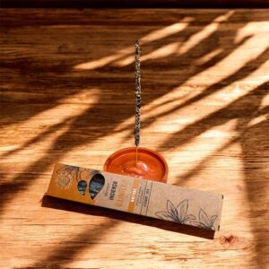 🌿 Éclat de Vanille – Encens Nature & Porte-Encens Orangé