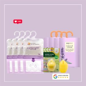 AFYOMMY Déshumidificateur Anti-Humidité , absorbeurs d'odeur réfrigérateur et parfums textiles