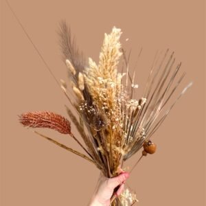 Zaya - Bouquet Fleurs Séchées et variétés Déco