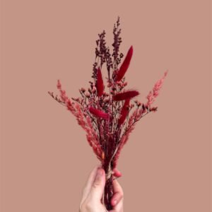 SOLEA - Mini Bouquet Fleurs Séchées Déco