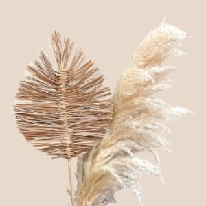 Palma- Bouquet Fleurs Séchées et variétés Déco