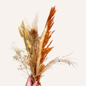 Nina- Bouquet Fleurs Séchées et variétés Déco