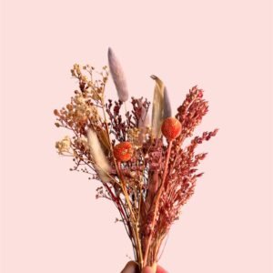 Adria - Mini Bouquet Fleurs Séchées Déco