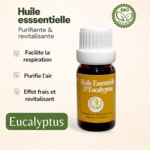 Huile Essentielle d’Eucalyptus 10 ml – Produit Naturel du Maroc | Respiratoire & Purifiante