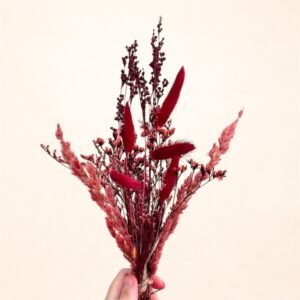 SOLEA - Mini Bouquet Fleurs Séchées Déco